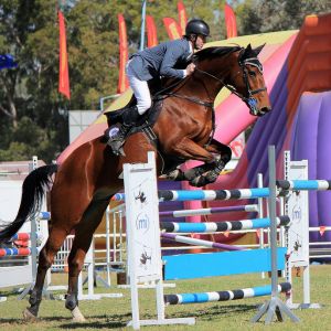 Showjumping Section Roma Show Society